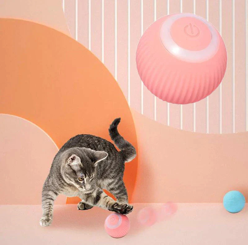 Cat playing with a Interactive Smart Pet Ball for Cats & Dogs on a colorful background