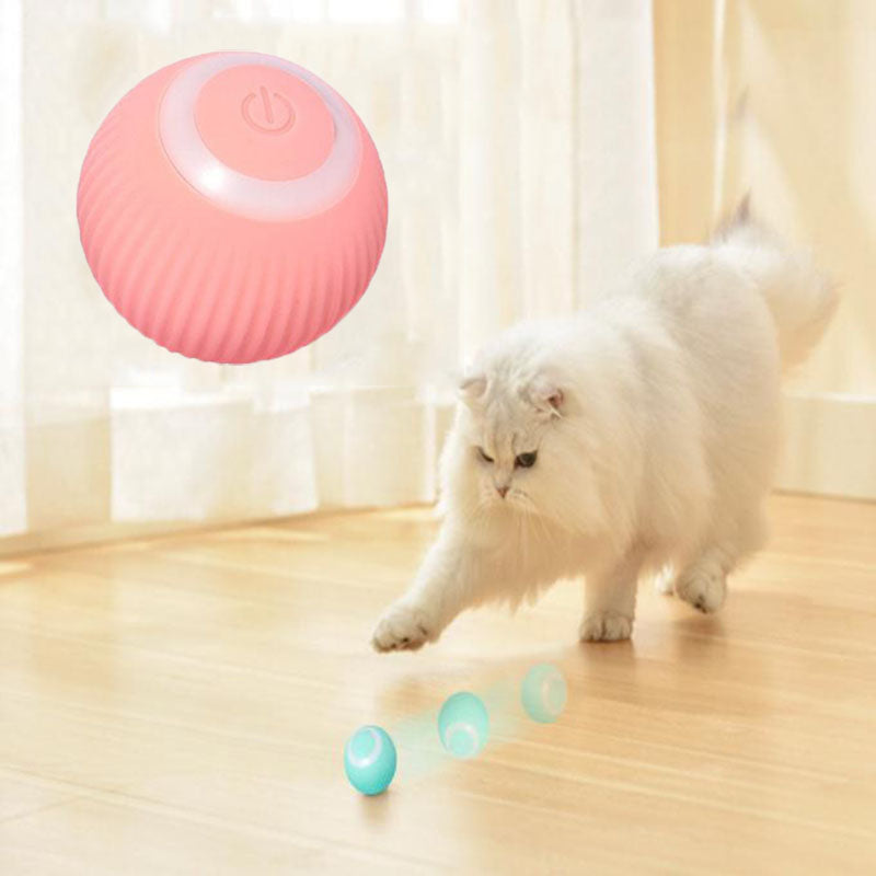 Pink and blue Interactive Smart Pet Ball for Cats & Dogs on a wooden floor with a white cat playing with them.
